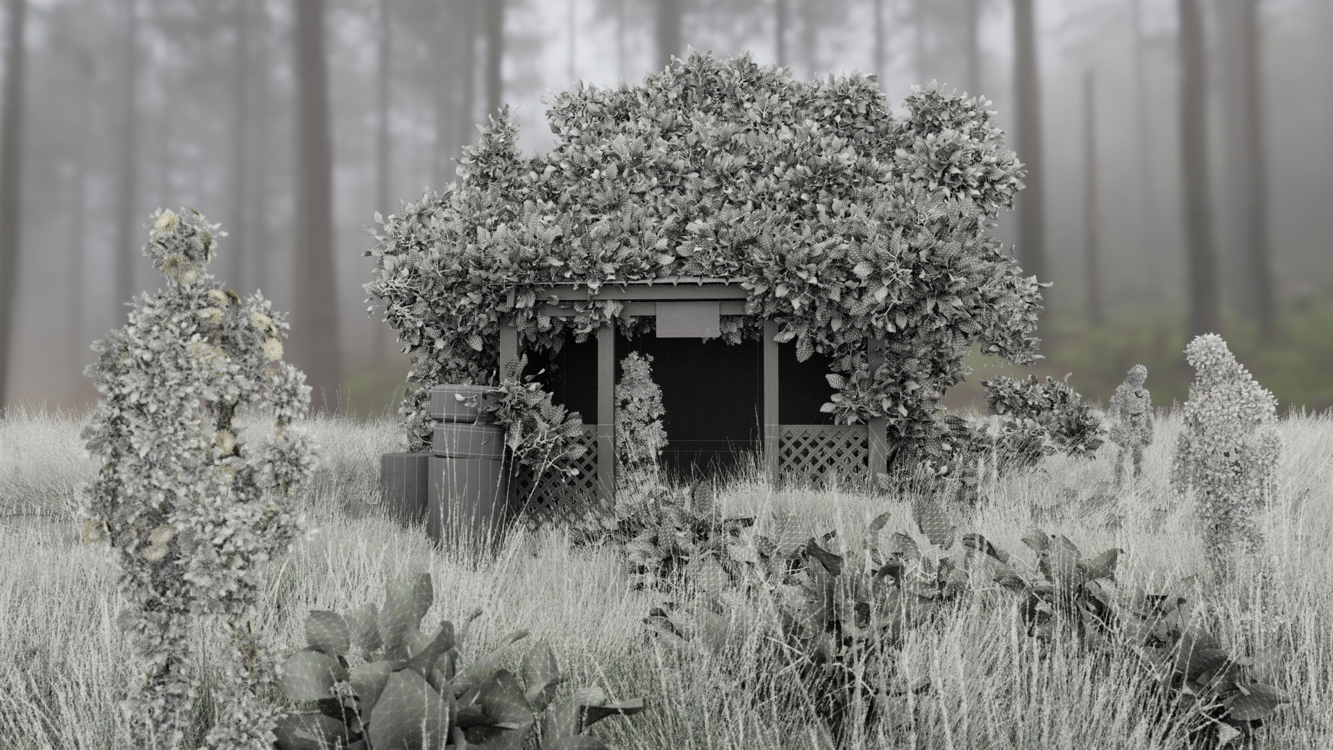 plant_life_wireframe